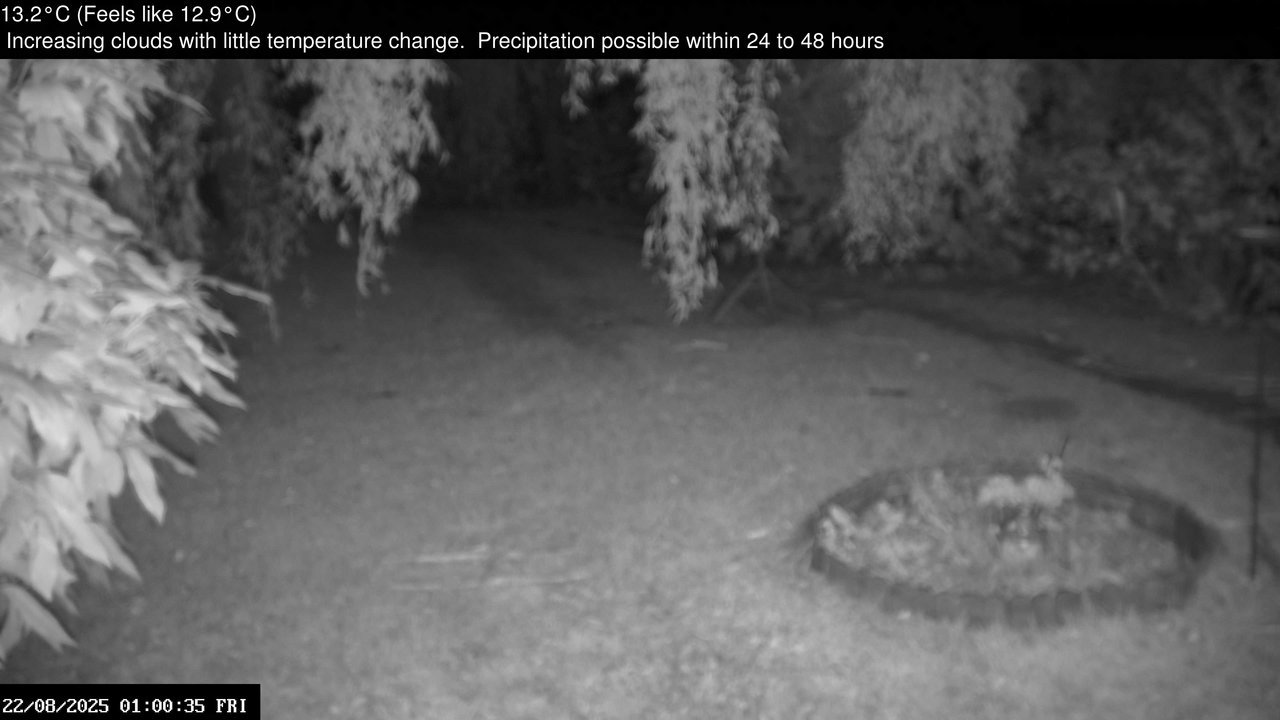time-lapse frame, Wembury, Devon. Garden Zoom Cam webcam