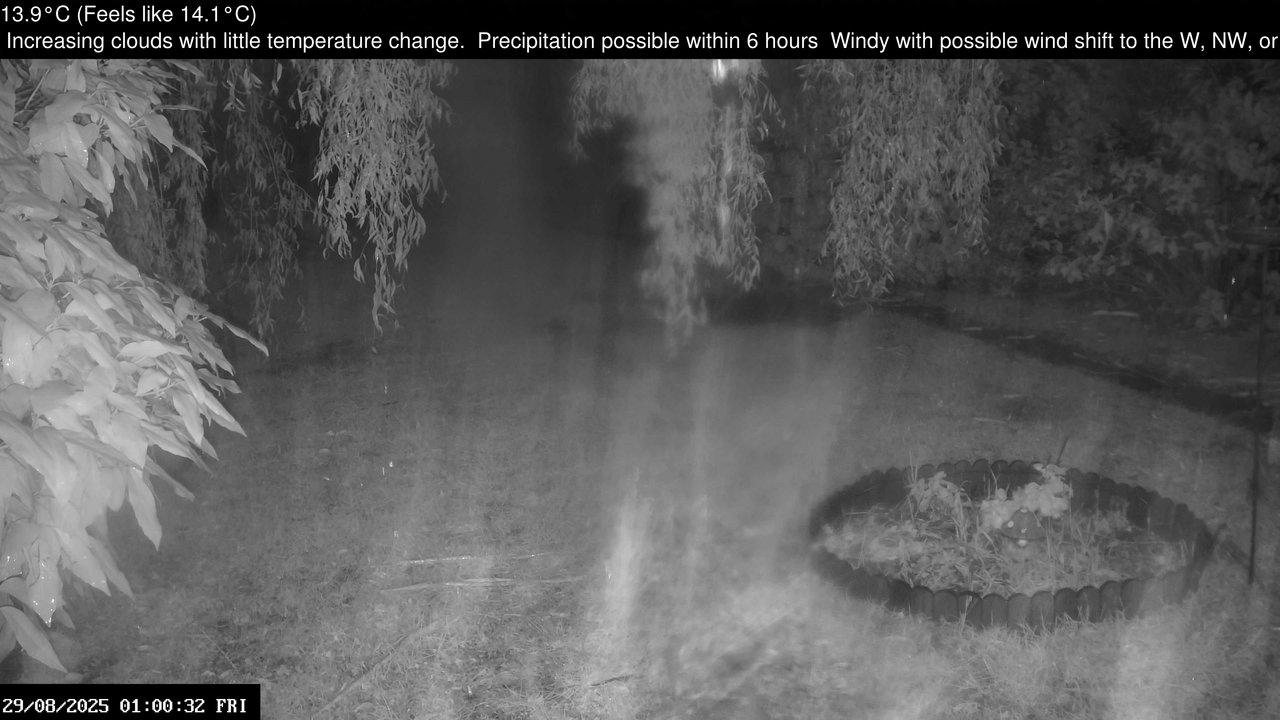 time-lapse frame, Wembury, Devon. Garden Zoom Cam webcam