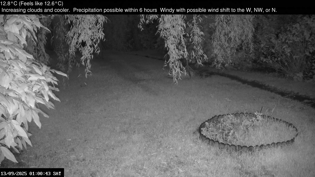 time-lapse frame, Wembury, Devon. Garden Zoom Cam webcam