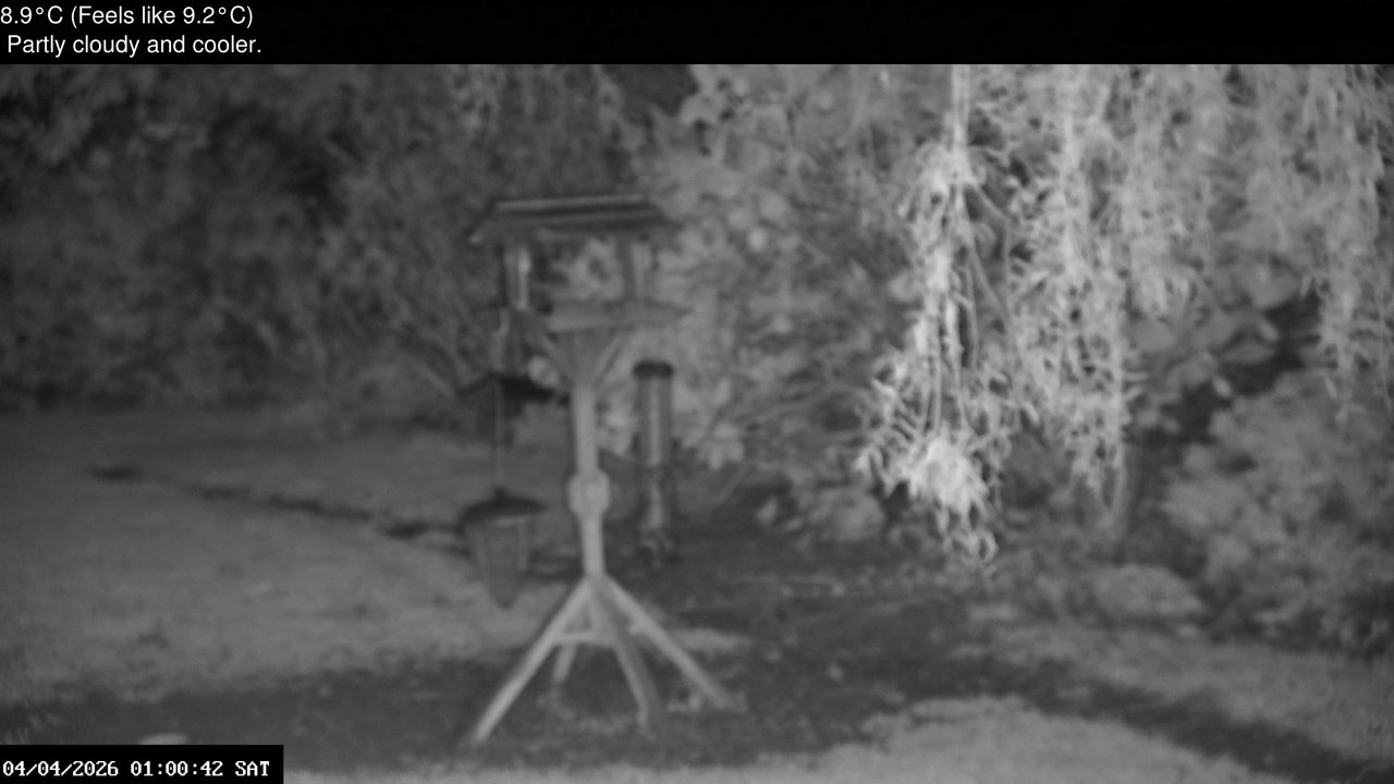 time-lapse frame, Wembury, Devon. Garden Zoom Cam webcam