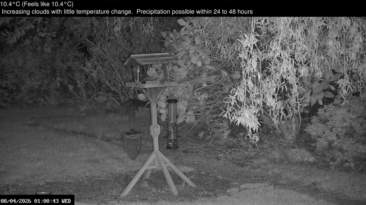 time-lapse frame, Wembury, Devon. Garden Zoom Cam webcam