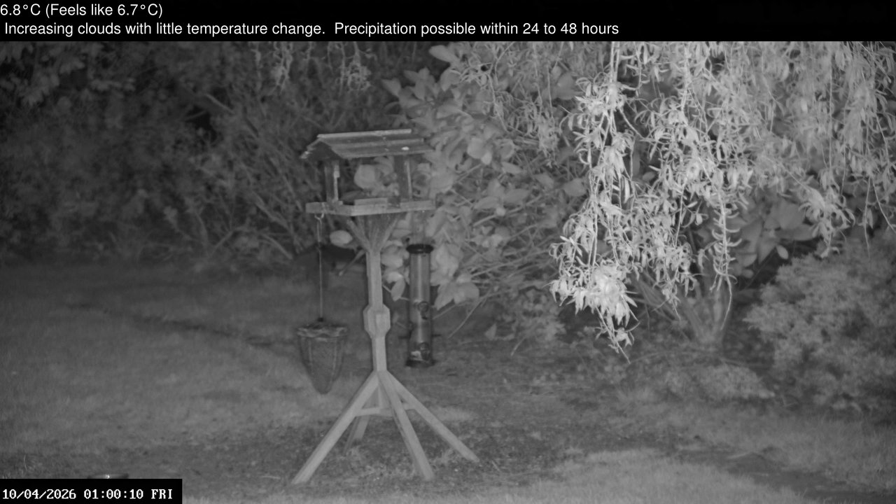 time-lapse frame, Wembury, Devon. Garden Zoom Cam webcam