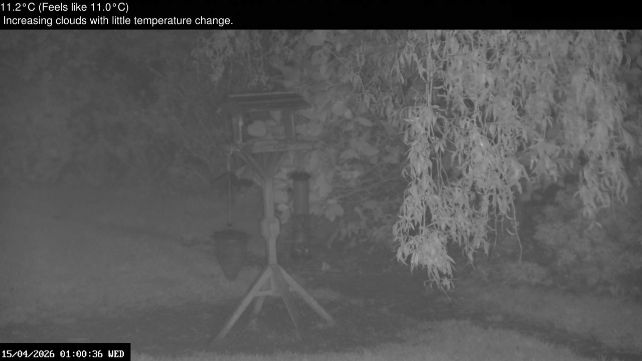 time-lapse frame, Wembury, Devon. Garden Zoom Cam webcam