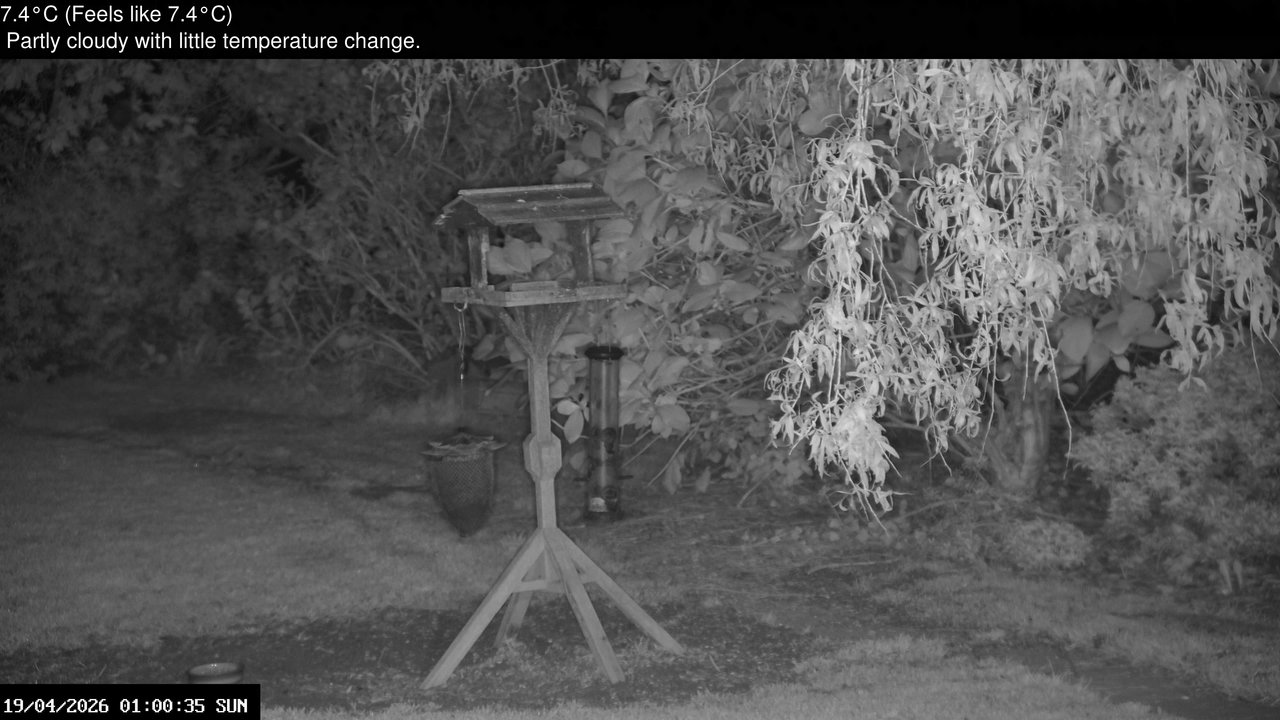 time-lapse frame, Wembury, Devon. Garden Zoom Cam webcam