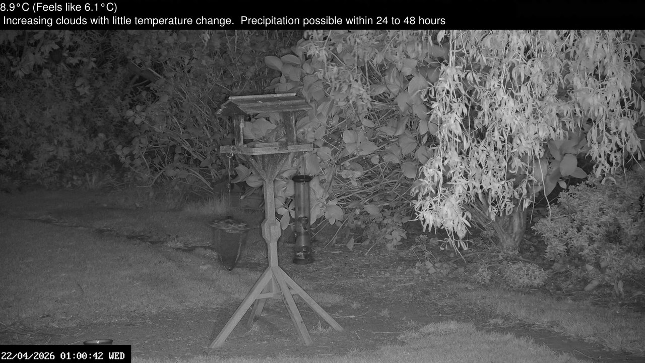 time-lapse frame, Wembury, Devon. Garden Zoom Cam webcam