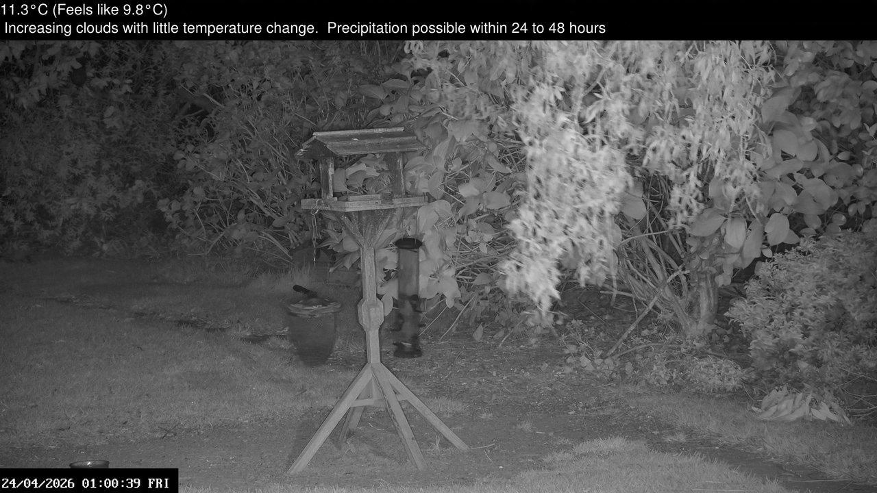 time-lapse frame, Wembury, Devon. Garden Zoom Cam webcam