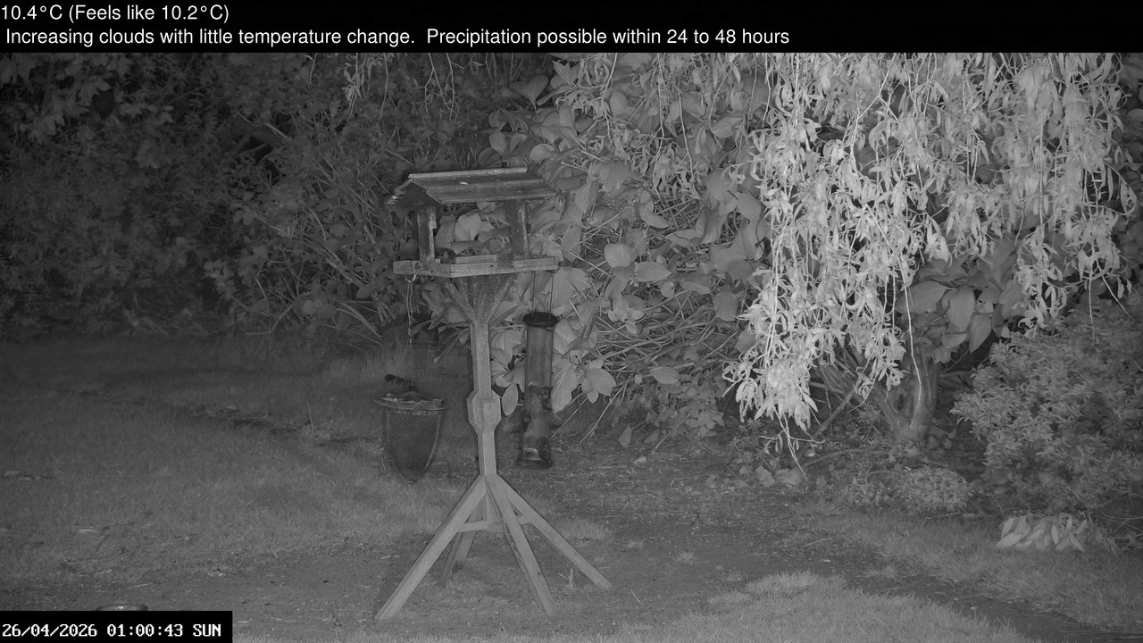time-lapse frame, Wembury, Devon. Garden Zoom Cam webcam