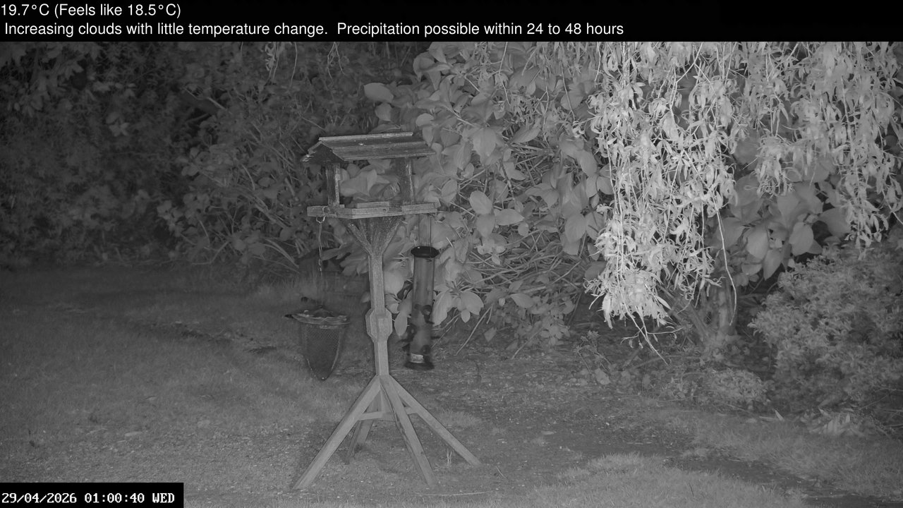 time-lapse frame, Wembury, Devon. Garden Zoom Cam webcam