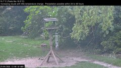 view from Wembury, Devon. Garden Zoom Cam on 2026-04-29