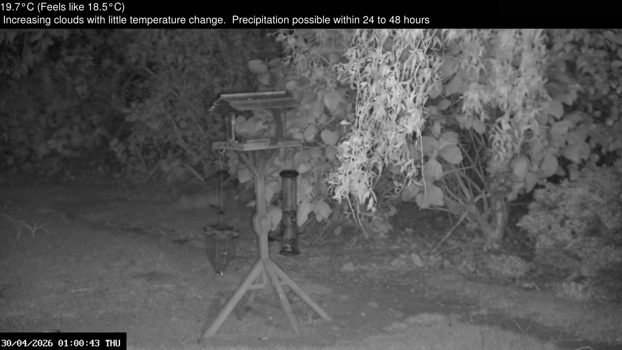 time-lapse frame, Wembury, Devon. Garden Zoom Cam webcam