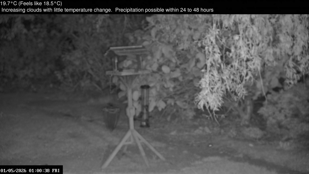 time-lapse frame, Wembury, Devon. Garden Zoom Cam webcam