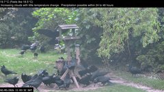 view from Wembury, Devon. Garden Zoom Cam on 2026-05-02