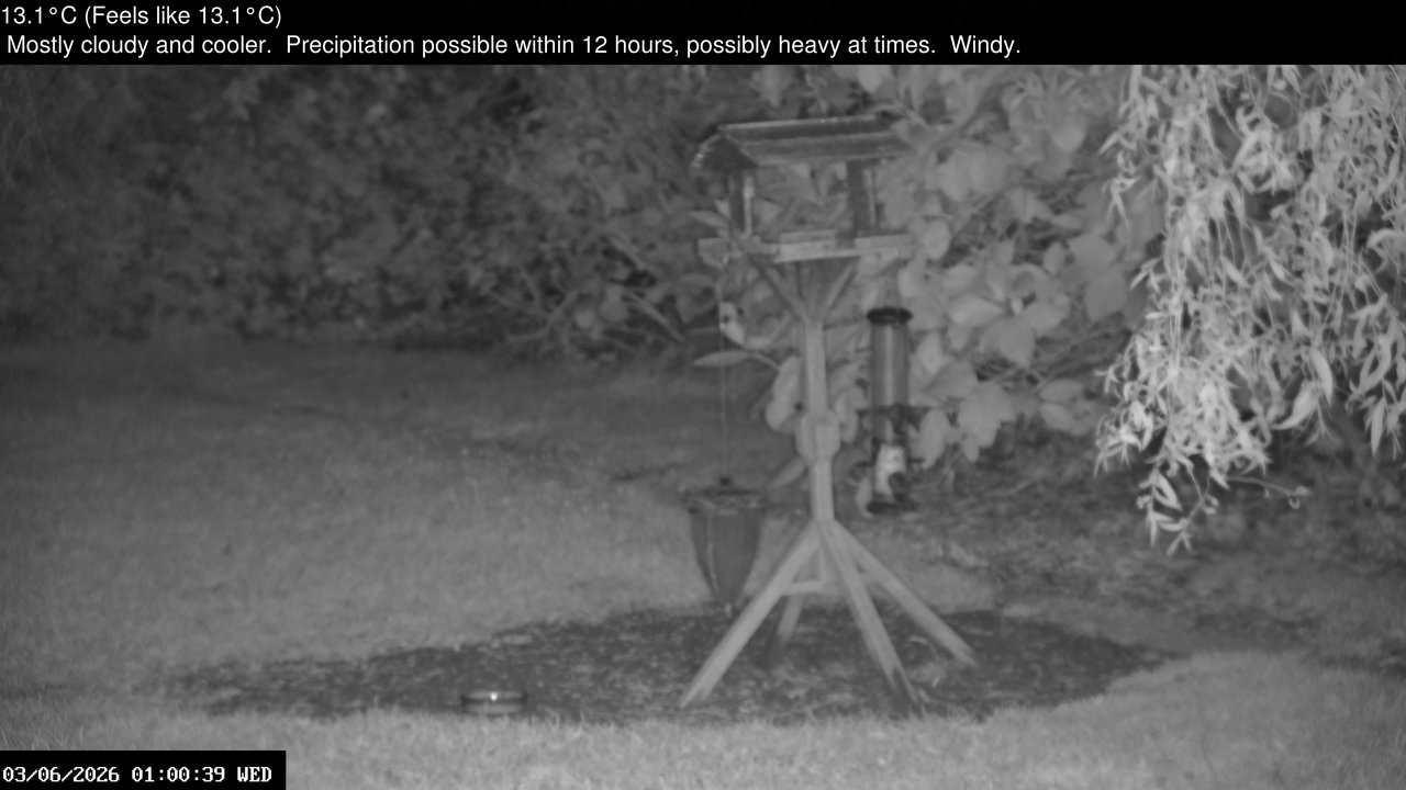 time-lapse frame, Wembury, Devon. Garden Zoom Cam webcam