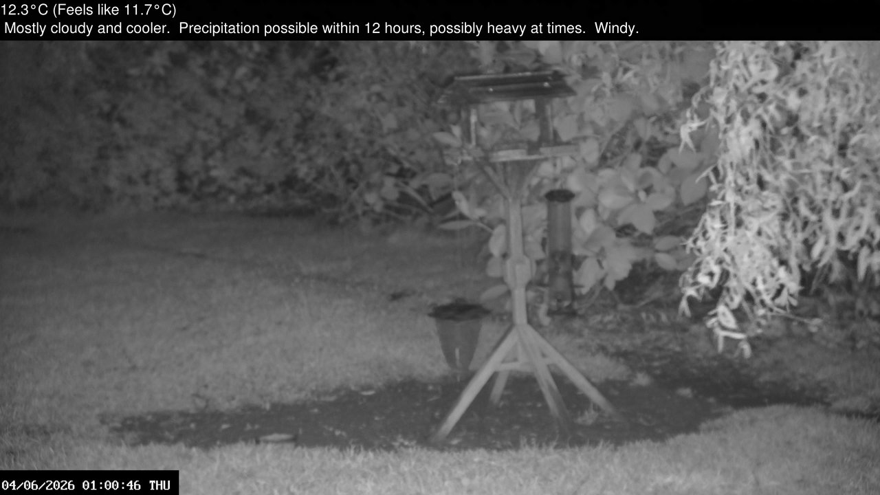 time-lapse frame, Wembury, Devon. Garden Zoom Cam webcam