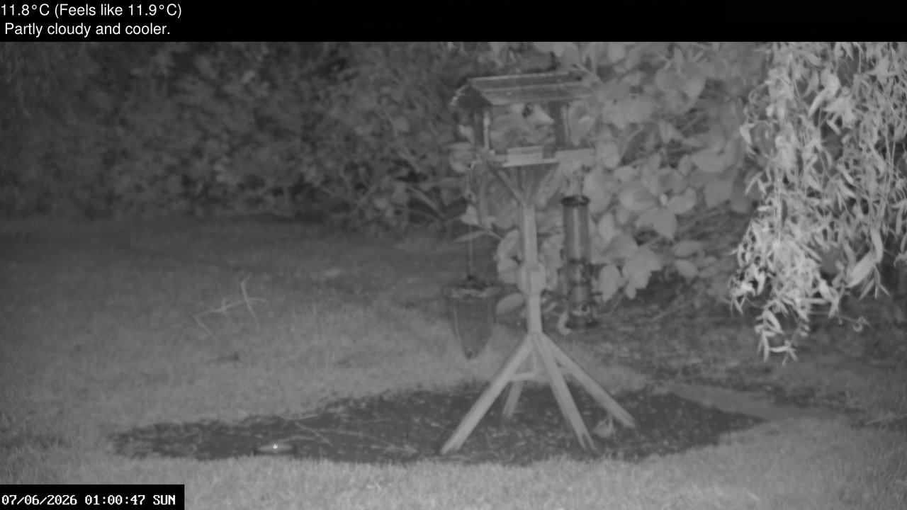 time-lapse frame, Wembury, Devon. Garden Zoom Cam webcam