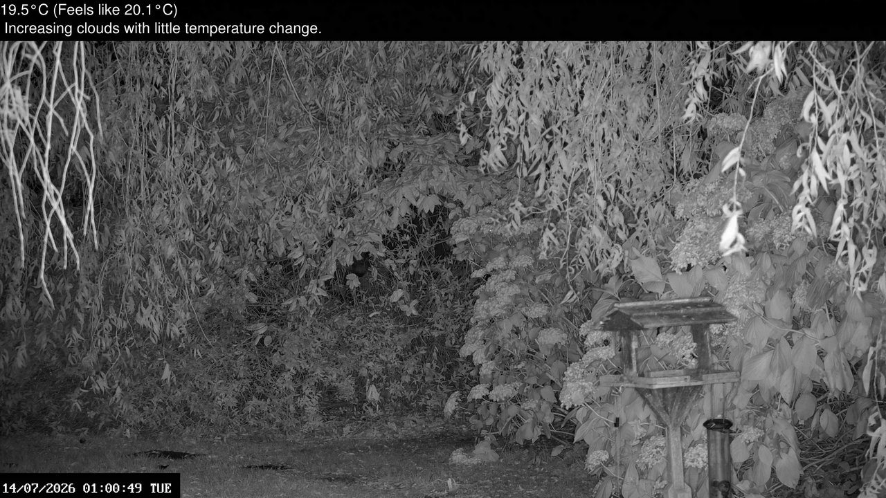 time-lapse frame, Wembury, Devon. Garden Zoom Cam webcam