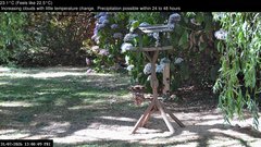 view from Wembury, Devon. Garden Zoom Cam on 2026-07-31