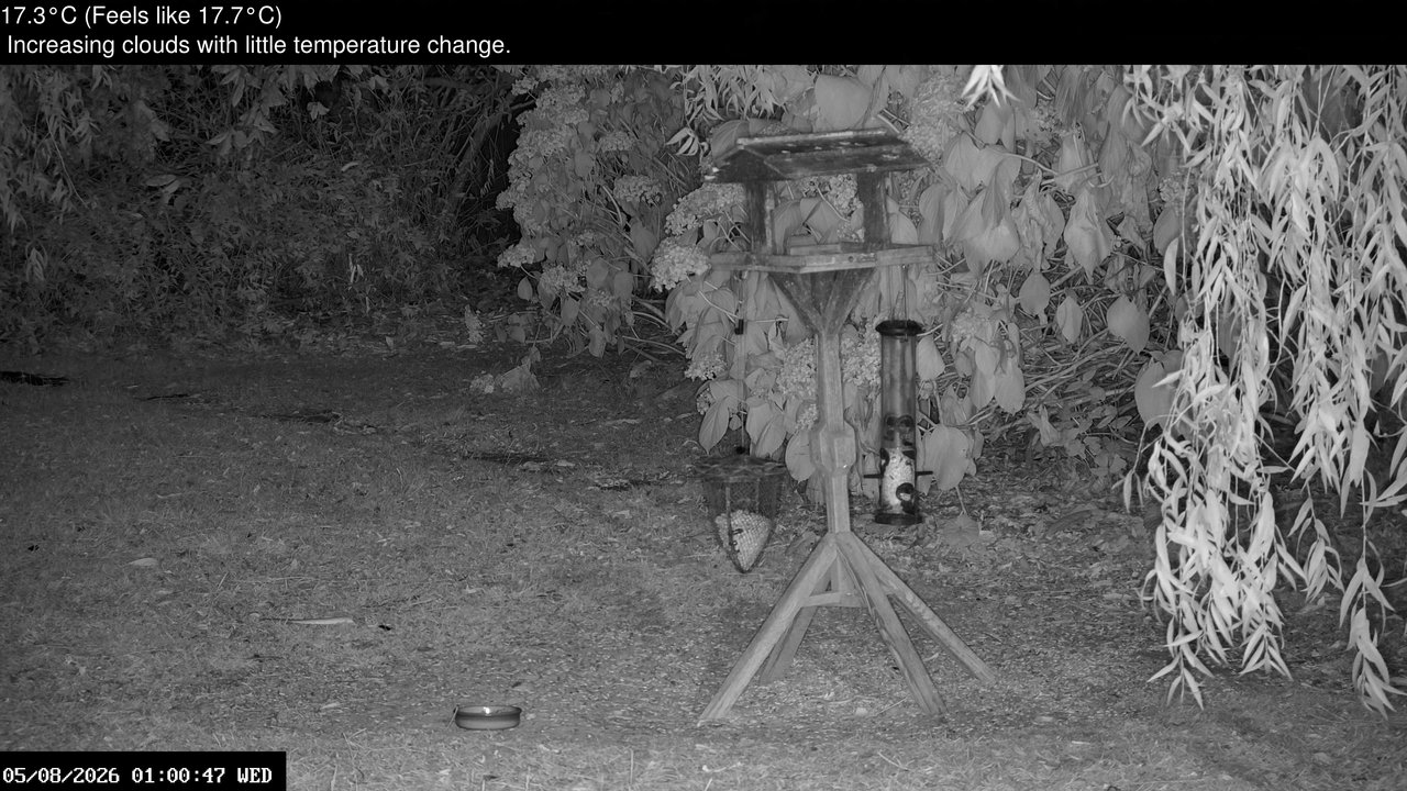 time-lapse frame, Wembury, Devon. Garden Zoom Cam webcam