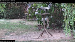 view from Wembury, Devon. Garden Zoom Cam on 2026-08-06