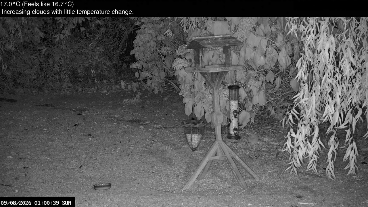 time-lapse frame, Wembury, Devon. Garden Zoom Cam webcam