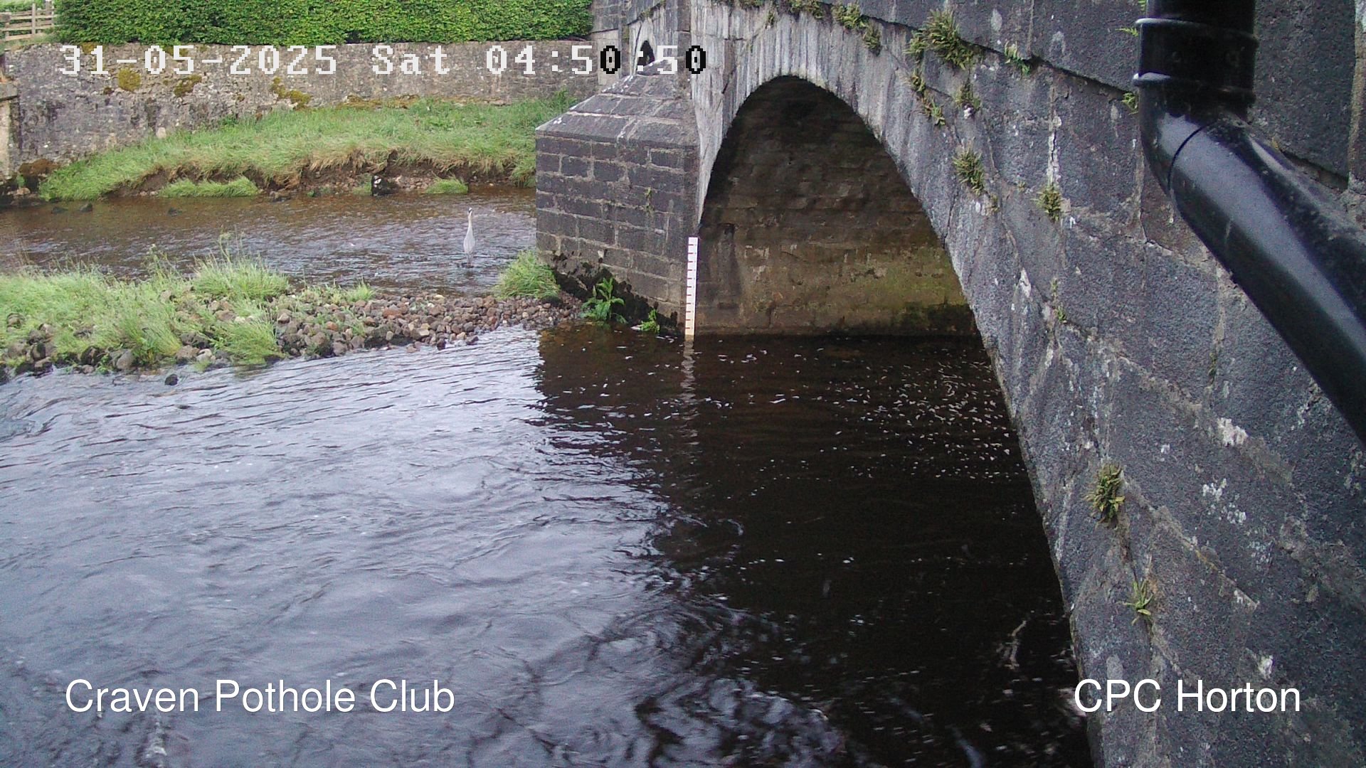 time-lapse frame, HortonRibbleCam webcam