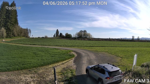 time-lapse frame, FAW CAM 3 webcam