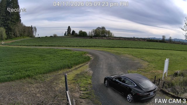 time-lapse frame, FAW CAM 3 webcam