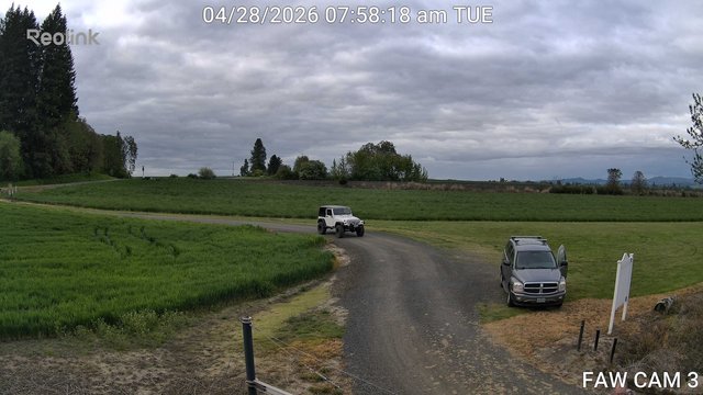 time-lapse frame, FAW CAM 3 webcam