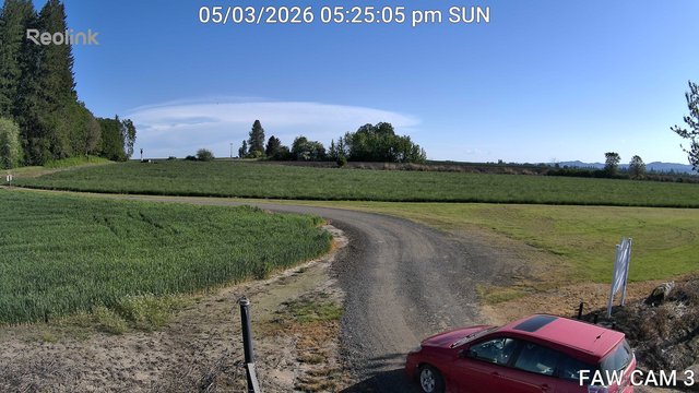 time-lapse frame, FAW CAM 3 webcam