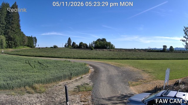 time-lapse frame, FAW CAM 3 webcam
