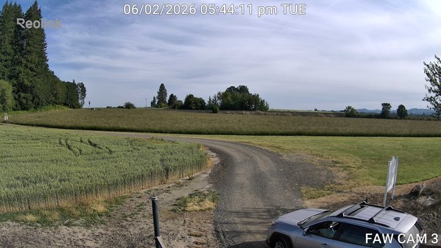 time-lapse frame, FAW CAM 3 webcam