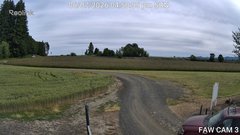 view from FAW CAM 3 on 2026-06-07
