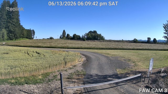 time-lapse frame, FAW CAM 3 webcam