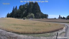 view from FAW CAM 3 on 2026-06-19