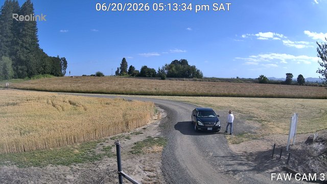 time-lapse frame, FAW CAM 3 webcam