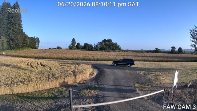 FAW CAM 3 animated GIF