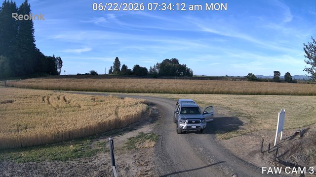 time-lapse frame, FAW CAM 3 webcam