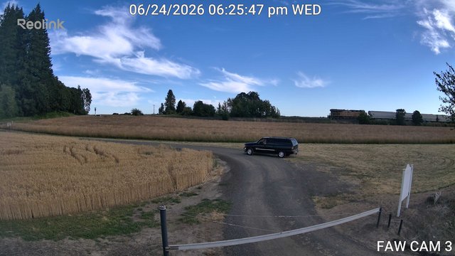 time-lapse frame, FAW CAM 3 webcam