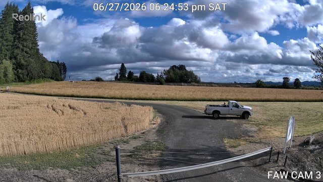 time-lapse frame, FAW CAM 3 webcam