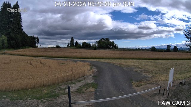 time-lapse frame, FAW CAM 3 webcam