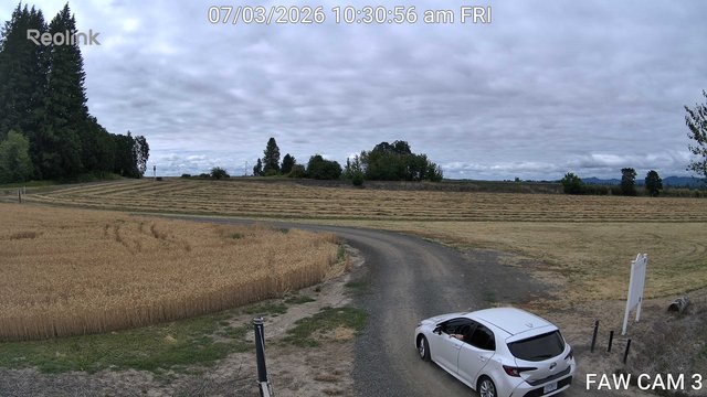 time-lapse frame, FAW CAM 3 webcam