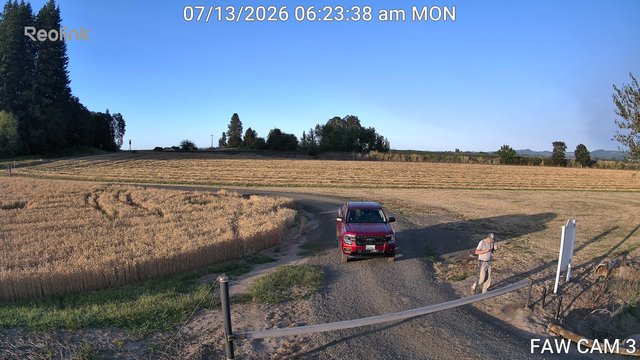 time-lapse frame, FAW CAM 3 webcam