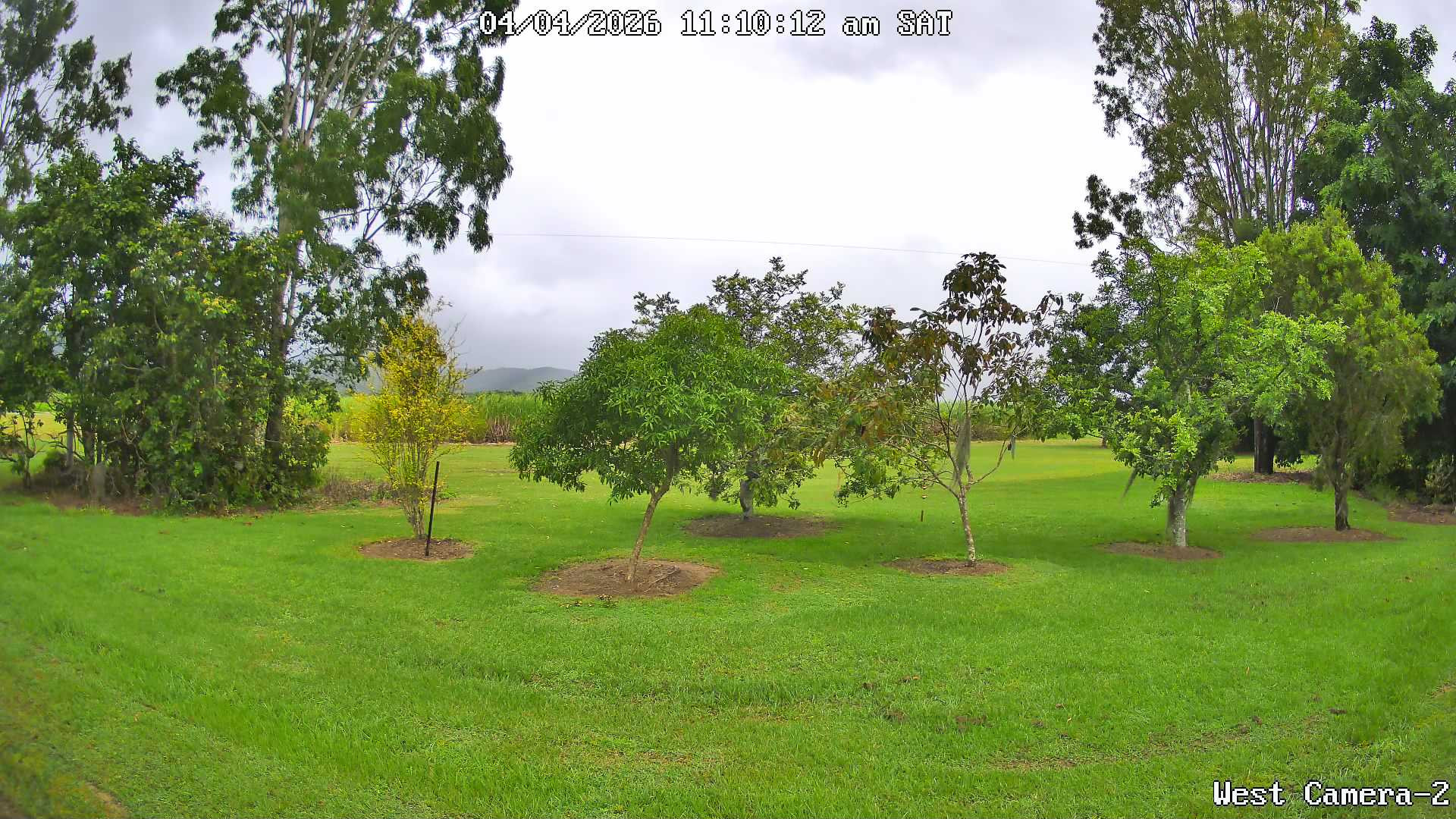 Proserpine › West: Kelsey Creek