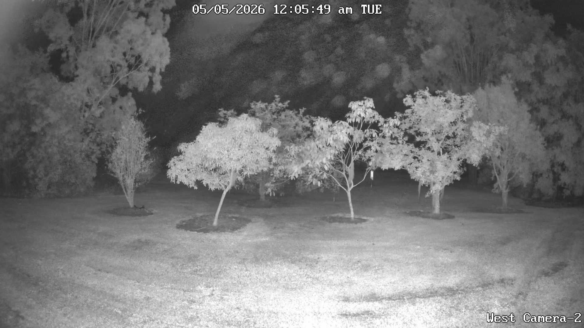 time-lapse frame, KelseyCreek West View webcam