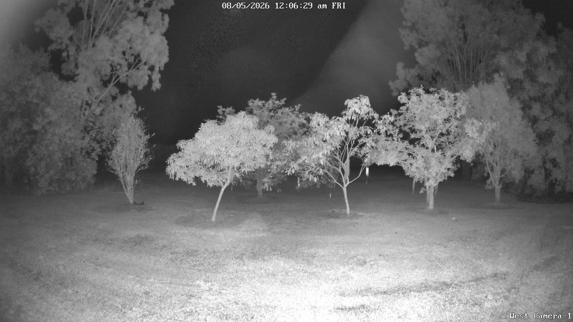 time-lapse frame, KelseyCreek West View webcam