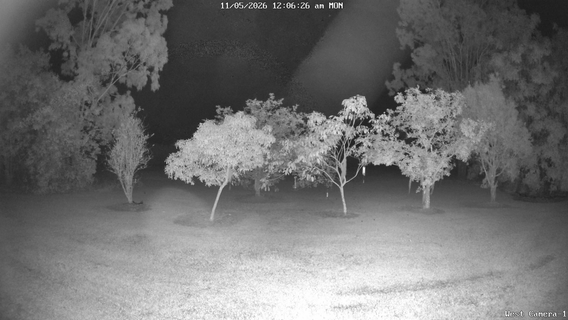 time-lapse frame, KelseyCreek West View webcam