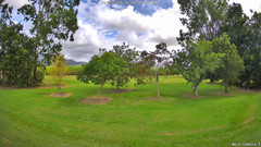 view from KelseyCreek West View on 2026-05-11
