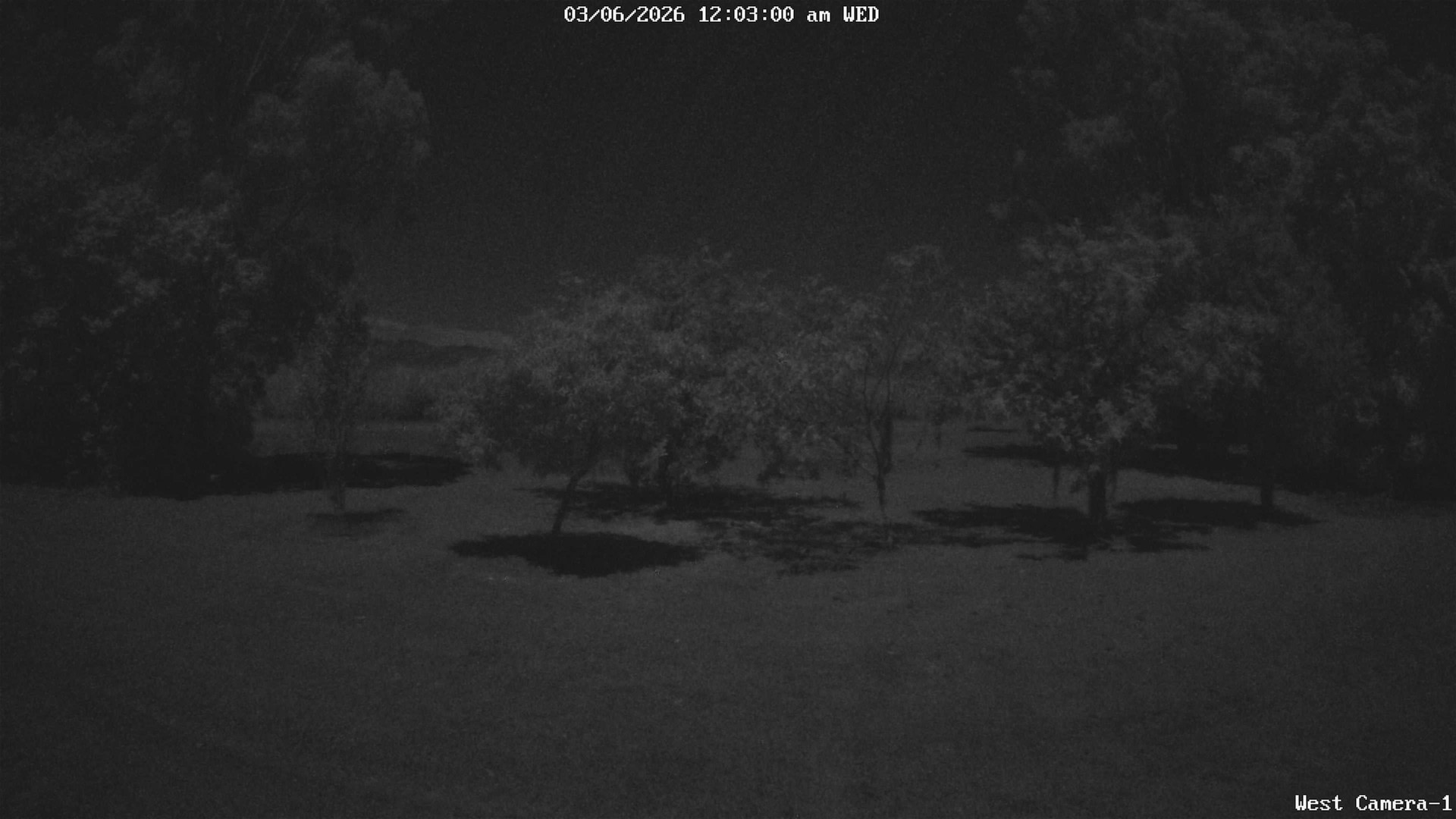 time-lapse frame, KelseyCreek West View webcam