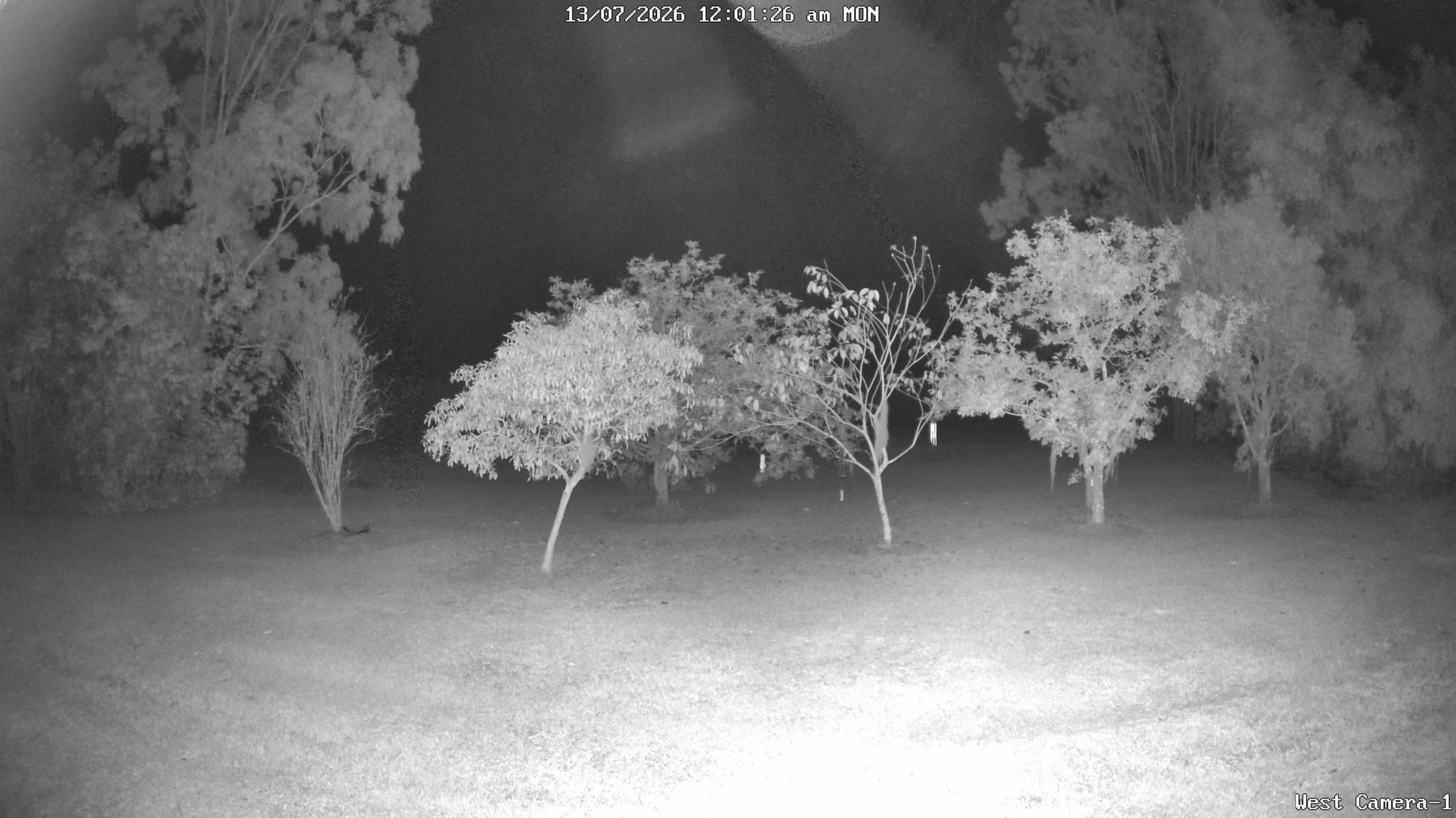 time-lapse frame, KelseyCreek West View webcam