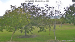 view from KelseyCreek West View on 2026-07-13